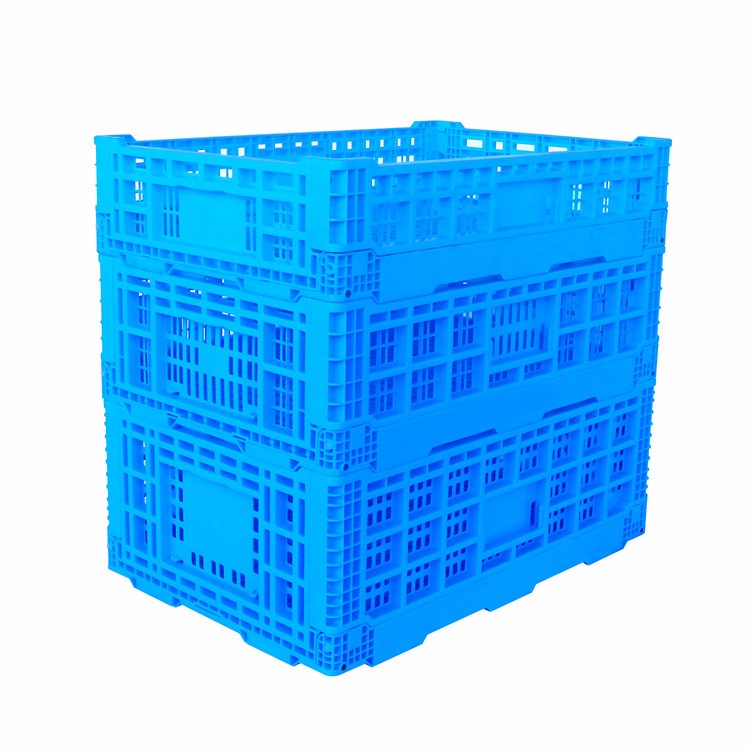 product-445-420 L1043262-1.jpg