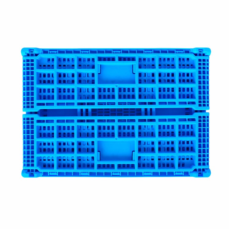 product-556-521 L1043166-1.jpg