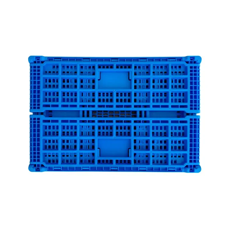 product-750-750 product-750-750