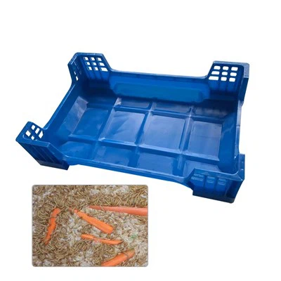 거저리용 곤충 사육 상자