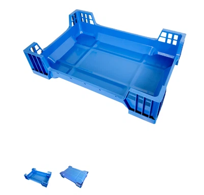 곤충 사육 트레이